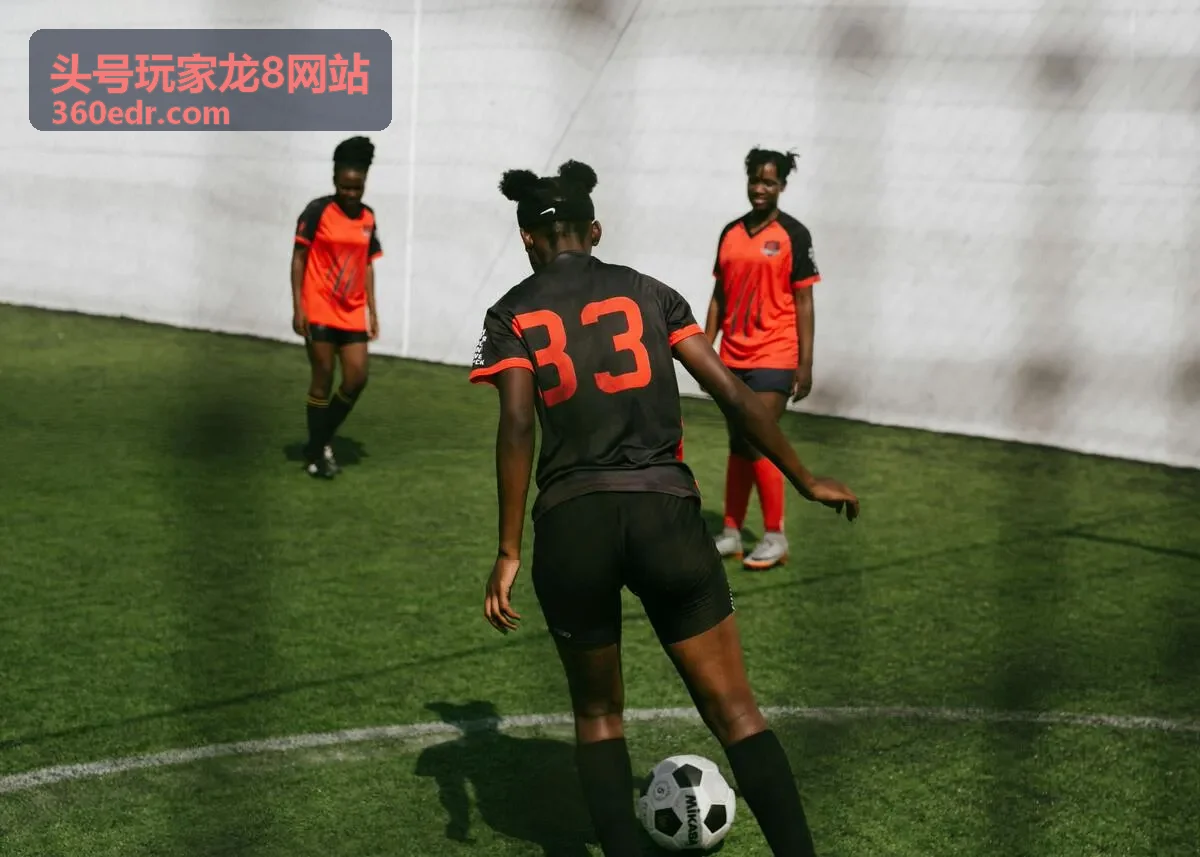 头号玩家龙8网站相关文章资料主图