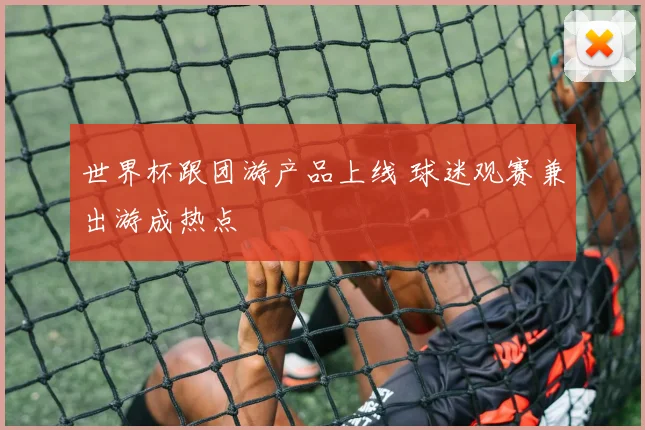 世界杯跟团游产品上线 球迷观赛兼出游成热点