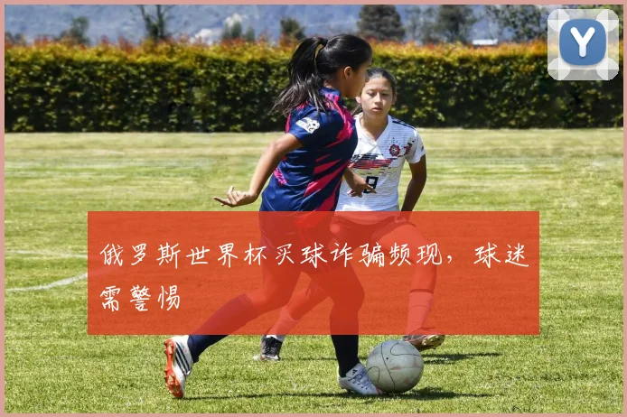 俄罗斯世界杯买球诈骗频现，球迷需警惕