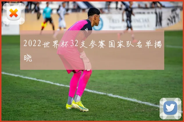 2022世界杯32支参赛国家队名单揭晓