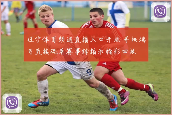 辽宁体育频道直播入口开放 手机端可直接观看赛事转播和精彩回放
